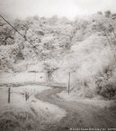 Country Road, Costa Rica #YNL-953.  Infrared Photograph,  Stretched and Gallery Wrapped, Limited Edition Archival Print on Canvas:  40 x 44 inches, $1530.  Custom Proportions and Sizes are Available.  For more information or to order please visit our ABOUT page or call us at 561-691-1110.