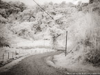 Country Road, Costa Rica #YNL-954.  Infrared Photograph,  Stretched and Gallery Wrapped, Limited Edition Archival Print on Canvas:  56 x 40 inches, $1590.  Custom Proportions and Sizes are Available.  For more information or to order please visit our ABOUT page or call us at 561-691-1110.
