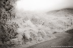 Country Road, Costa Rica #YNL-955.  Infrared Photograph,  Stretched and Gallery Wrapped, Limited Edition Archival Print on Canvas:  60 x 40 inches, $1590.  Custom Proportions and Sizes are Available.  For more information or to order please visit our ABOUT page or call us at 561-691-1110.