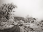 Country Road, Costa Rica #YNL-957.  Infrared Photograph,  Stretched and Gallery Wrapped, Limited Edition Archival Print on Canvas:  56 x 40 inches, $1590.  Custom Proportions and Sizes are Available.  For more information or to order please visit our ABOUT page or call us at 561-691-1110.