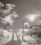 Country Road, Costa Rica #YNL-961.  Infrared Photograph,  Stretched and Gallery Wrapped, Limited Edition Archival Print on Canvas:  40 x 44 inches, $1530.  Custom Proportions and Sizes are Available.  For more information or to order please visit our ABOUT page or call us at 561-691-1110.