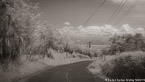 Country Road, Costa Rica #YNL-963.  Infrared Photograph,  Stretched and Gallery Wrapped, Limited Edition Archival Print on Canvas:  68 x 40 inches, $1620.  Custom Proportions and Sizes are Available.  For more information or to order please visit our ABOUT page or call us at 561-691-1110.