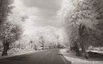 Country Road, Costa Rica #YNL-966.  Infrared Photograph,  Stretched and Gallery Wrapped, Limited Edition Archival Print on Canvas:  60 x 40 inches, $1590.  Custom Proportions and Sizes are Available.  For more information or to order please visit our ABOUT page or call us at 561-691-1110.