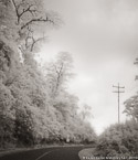 Country Road, Costa Rica #YNL-969.  Infrared Photograph,  Stretched and Gallery Wrapped, Limited Edition Archival Print on Canvas:  40 x 48 inches, $1560.  Custom Proportions and Sizes are Available.  For more information or to order please visit our ABOUT page or call us at 561-691-1110.