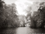 Tropical Estuary, Costa Rica #YNS-823.  Infrared Photograph,  Stretched and Gallery Wrapped, Limited Edition Archival Print on Canvas:  56 x 40 inches, $1590.  Custom Proportions and Sizes are Available.  For more information or to order please visit our ABOUT page or call us at 561-691-1110.