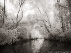 Tropical Estuary, Costa Rica #YNS-835.  Infrared Photograph,  Stretched and Gallery Wrapped, Limited Edition Archival Print on Canvas:  56 x 40 inches, $1590.  Custom Proportions and Sizes are Available.  For more information or to order please visit our ABOUT page or call us at 561-691-1110.