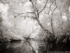 Tropical Estuary, Costa Rica #YNS-842.  Infrared Photograph,  Stretched and Gallery Wrapped, Limited Edition Archival Print on Canvas:  56 x 40 inches, $1590.  Custom Proportions and Sizes are Available.  For more information or to order please visit our ABOUT page or call us at 561-691-1110.