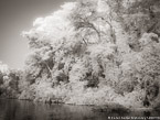 Tropical Estuary, Costa Rica #YNS-851.  Infrared Photograph,  Stretched and Gallery Wrapped, Limited Edition Archival Print on Canvas:  56 x 40 inches, $1590.  Custom Proportions and Sizes are Available.  For more information or to order please visit our ABOUT page or call us at 561-691-1110.