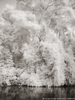 Tropical Estuary, Costa Rica #YNS-853.  Infrared Photograph,  Stretched and Gallery Wrapped, Limited Edition Archival Print on Canvas:  40 x 56 inches, $1590.  Custom Proportions and Sizes are Available.  For more information or to order please visit our ABOUT page or call us at 561-691-1110.