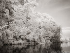 Tropical Estuary, Costa Rica #YNS-854.  Infrared Photograph,  Stretched and Gallery Wrapped, Limited Edition Archival Print on Canvas:  56 x 40 inches, $1590.  Custom Proportions and Sizes are Available.  For more information or to order please visit our ABOUT page or call us at 561-691-1110.