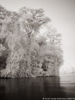 Tropical Estuary, Costa Rica #YNS-860.  Infrared Photograph,  Stretched and Gallery Wrapped, Limited Edition Archival Print on Canvas:  40 x 56 inches, $1590.  Custom Proportions and Sizes are Available.  For more information or to order please visit our ABOUT page or call us at 561-691-1110.