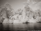 Tropical Estuary, Costa Rica #YNS-863.  Infrared Photograph,  Stretched and Gallery Wrapped, Limited Edition Archival Print on Canvas:  56 x 40 inches, $1590.  Custom Proportions and Sizes are Available.  For more information or to order please visit our ABOUT page or call us at 561-691-1110.