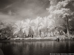 Tropical Estuary, Costa Rica #YNS-864.  Infrared Photograph,  Stretched and Gallery Wrapped, Limited Edition Archival Print on Canvas:  56 x 40 inches, $1590.  Custom Proportions and Sizes are Available.  For more information or to order please visit our ABOUT page or call us at 561-691-1110.