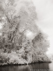 Tropical Estuary, Costa Rica #YNS-868.  Infrared Photograph,  Stretched and Gallery Wrapped, Limited Edition Archival Print on Canvas:  40 x 56 inches, $1590.  Custom Proportions and Sizes are Available.  For more information or to order please visit our ABOUT page or call us at 561-691-1110.