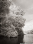 Tropical Estuary, Costa Rica #YNS-870.  Infrared Photograph,  Stretched and Gallery Wrapped, Limited Edition Archival Print on Canvas:  40 x 56 inches, $1590.  Custom Proportions and Sizes are Available.  For more information or to order please visit our ABOUT page or call us at 561-691-1110.
