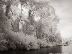 Tropical Estuary, Costa Rica #YNS-871.  Infrared Photograph,  Stretched and Gallery Wrapped, Limited Edition Archival Print on Canvas:  56 x 40 inches, $1590.  Custom Proportions and Sizes are Available.  For more information or to order please visit our ABOUT page or call us at 561-691-1110.
