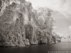 Tropical Estuary, Costa Rica #YNS-876.  Infrared Photograph,  Stretched and Gallery Wrapped, Limited Edition Archival Print on Canvas:  56 x 40 inches, $1590.  Custom Proportions and Sizes are Available.  For more information or to order please visit our ABOUT page or call us at 561-691-1110.