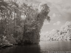 Tropical Estuary, Costa Rica #YNS-878.  Infrared Photograph,  Stretched and Gallery Wrapped, Limited Edition Archival Print on Canvas:  56 x 40 inches, $1590.  Custom Proportions and Sizes are Available.  For more information or to order please visit our ABOUT page or call us at 561-691-1110.
