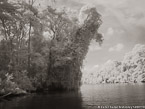 Tropical Estuary, Costa Rica #YNS-878.  Infrared Photograph,  Stretched and Gallery Wrapped, Limited Edition Archival Print on Canvas:  56 x 40 inches, $1590.  Custom Proportions and Sizes are Available.  For more information or to order please visit our ABOUT page or call us at 561-691-1110.