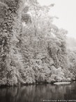 Tropical Estuary, Costa Rica #YNS-885.  Infrared Photograph,  Stretched and Gallery Wrapped, Limited Edition Archival Print on Canvas:  40 x 56 inches, $1590.  Custom Proportions and Sizes are Available.  For more information or to order please visit our ABOUT page or call us at 561-691-1110.