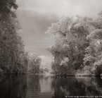 Tropical Estuary, Costa Rica #YNS-890.  Infrared Photograph,  Stretched and Gallery Wrapped, Limited Edition Archival Print on Canvas:  40 x 40 inches, $1500.  Custom Proportions and Sizes are Available.  For more information or to order please visit our ABOUT page or call us at 561-691-1110.