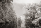 Tropical Estuary, Costa Rica #YNS-891.  Infrared Photograph,  Stretched and Gallery Wrapped, Limited Edition Archival Print on Canvas:  60 x 40 inches, $1590.  Custom Proportions and Sizes are Available.  For more information or to order please visit our ABOUT page or call us at 561-691-1110.