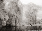 Tropical Estuary, Costa Rica #YNS-899.  Infrared Photograph,  Stretched and Gallery Wrapped, Limited Edition Archival Print on Canvas:  56 x 40 inches, $1590.  Custom Proportions and Sizes are Available.  For more information or to order please visit our ABOUT page or call us at 561-691-1110.