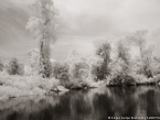 Tropical Estuary, Costa Rica #YNS-900.  Infrared Photograph,  Stretched and Gallery Wrapped, Limited Edition Archival Print on Canvas:  56 x 40 inches, $1590.  Custom Proportions and Sizes are Available.  For more information or to order please visit our ABOUT page or call us at 561-691-1110.