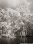 Tropical Estuary, Costa Rica #YNS-906.  Infrared Photograph,  Stretched and Gallery Wrapped, Limited Edition Archival Print on Canvas:  40 x 56 inches, $1590.  Custom Proportions and Sizes are Available.  For more information or to order please visit our ABOUT page or call us at 561-691-1110.