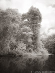 Tropical Estuary, Costa Rica #YNS-907.  Infrared Photograph,  Stretched and Gallery Wrapped, Limited Edition Archival Print on Canvas:  40 x 56 inches, $1590.  Custom Proportions and Sizes are Available.  For more information or to order please visit our ABOUT page or call us at 561-691-1110.