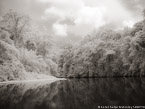 Tropical Estuary, Costa Rica #YNS-908.  Infrared Photograph,  Stretched and Gallery Wrapped, Limited Edition Archival Print on Canvas:  56 x 40 inches, $1590.  Custom Proportions and Sizes are Available.  For more information or to order please visit our ABOUT page or call us at 561-691-1110.