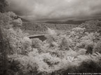 Tropical Lake, Costa Rica #YNS-914.  Infrared Photograph,  Stretched and Gallery Wrapped, Limited Edition Archival Print on Canvas:  56 x 40 inches, $1590.  Custom Proportions and Sizes are Available.  For more information or to order please visit our ABOUT page or call us at 561-691-1110.