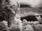 Tropical Lake, Costa Rica #YNS-916.  Infrared Photograph,  Stretched and Gallery Wrapped, Limited Edition Archival Print on Canvas:  56 x 40 inches, $1590.  Custom Proportions and Sizes are Available.  For more information or to order please visit our ABOUT page or call us at 561-691-1110.