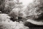 Tropical Lagoon, Palm Beach #YNS-713.  Infrared Photograph,  Stretched and Gallery Wrapped, Limited Edition Archival Print on Canvas:  60 x 40 inches, $1590.  Custom Proportions and Sizes are Available.  For more information or to order please visit our ABOUT page or call us at 561-691-1110.