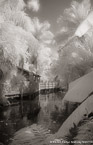 Tropical Lagoon, Palm Beach #YNS-727.  Infrared Photograph,  Stretched and Gallery Wrapped, Limited Edition Archival Print on Canvas:  40 x 60 inches, $1590.  Custom Proportions and Sizes are Available.  For more information or to order please visit our ABOUT page or call us at 561-691-1110.