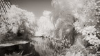 Tropical Lagoon, Palm Beach #YNS-747.  Infrared Photograph,  Stretched and Gallery Wrapped, Limited Edition Archival Print on Canvas:  72 x 40 inches, $1620.  Custom Proportions and Sizes are Available.  For more information or to order please visit our ABOUT page or call us at 561-691-1110.