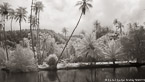 Tropical Lagoon, Tahiti  #YNS-759.  Infrared Photograph,  Stretched and Gallery Wrapped, Limited Edition Archival Print on Canvas:  72 x 40 inches, $1620.  Custom Proportions and Sizes are Available.  For more information or to order please visit our ABOUT page or call us at 561-691-1110.