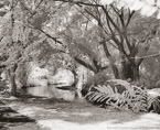 Tropical Lagoon, Tahiti  #YNS-761.  Infrared Photograph,  Stretched and Gallery Wrapped, Limited Edition Archival Print on Canvas:  50 x 40 inches, $1560.  Custom Proportions and Sizes are Available.  For more information or to order please visit our ABOUT page or call us at 561-691-1110.