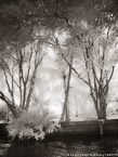 Tropical , Costa Rica #YNS-778.  Infrared Photograph,  Stretched and Gallery Wrapped, Limited Edition Archival Print on Canvas:  40 x 56 inches, $1590.  Custom Proportions and Sizes are Available.  For more information or to order please visit our ABOUT page or call us at 561-691-1110.