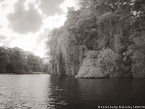 Tropical Estuary, Costa Rica #YNS-800.  Infrared Photograph,  Stretched and Gallery Wrapped, Limited Edition Archival Print on Canvas:  56 x 40 inches, $1590.  Custom Proportions and Sizes are Available.  For more information or to order please visit our ABOUT page or call us at 561-691-1110.