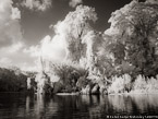 Tropical Estuary, Costa Rica #YNS-807.  Infrared Photograph,  Stretched and Gallery Wrapped, Limited Edition Archival Print on Canvas:  56 x 40 inches, $1590.  Custom Proportions and Sizes are Available.  For more information or to order please visit our ABOUT page or call us at 561-691-1110.
