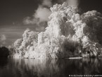 Tropical Estuary, Costa Rica #YNS-813.  Infrared Photograph,  Stretched and Gallery Wrapped, Limited Edition Archival Print on Canvas:  56 x 40 inches, $1590.  Custom Proportions and Sizes are Available.  For more information or to order please visit our ABOUT page or call us at 561-691-1110.